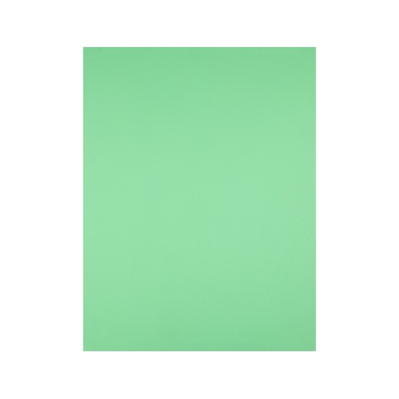 Cartulina liderpapel 50x65 cm 240g/m2 verde pistacho