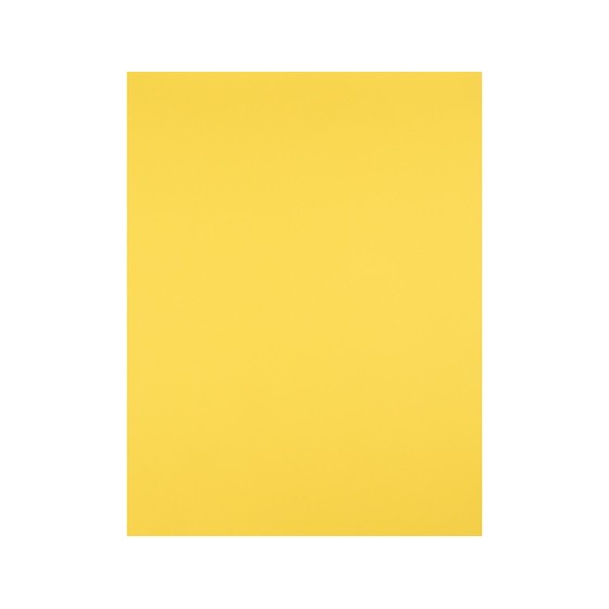 Cartulina liderpapel 50x65 cm 180g/m2 amarillo limon