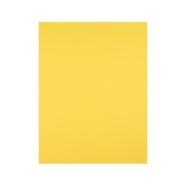 Cartulina liderpapel 50x65 cm 180g/m2 amarillo limon