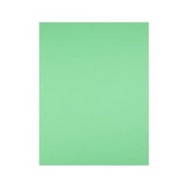 Cartulina liderpapel 50x65 cm verde pistacho 180 gr -unidad