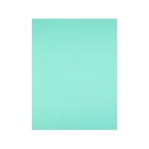 Cartulina liderpapel 50x65 cm 180g/m2 verde
