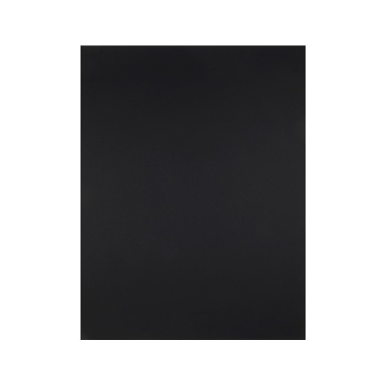 Cartulina liderpapel 50x65 cm 180g/m2 negro