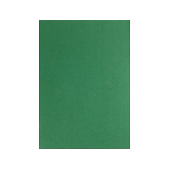 Cartulina liderpapel a4 180g/m2 verde abeto paquete de100 hojas