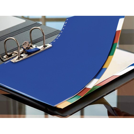 Separador liderpapel plastico juego de 5 separadores cuarto 11 taladros