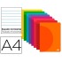 Libreta liderpapel 360 tapa de plastico a4 48 hojas 90g/m2 horizontal con margen colores surtidos