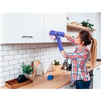 Limpiador Desinfectante Sanytol Para Cocinas Con Pistola Pulverizadora Bote De 750 Ml