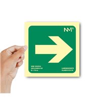 Pictograma Archivo 2000 Flecha Derecha Pvc Verde Luminiscente 224X224 Mm
