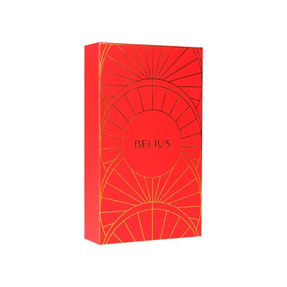 Pluma Y Estuche Belius Soiree Color Art Deco Granate Y Dorado Tinta Azul Caja De Diseño
