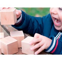 Juego Didactico Andreutoys 10 Cubos Sensoriales Con Sonido Madera