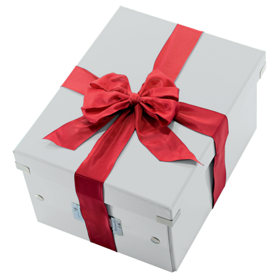 Caja De Almacenaje Grande Click & Store Wow En Forma De Cubo De Leitz Blanco
