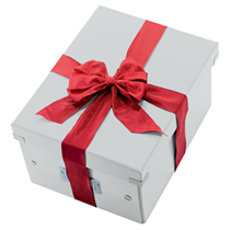 Caja De Almacenaje Grande Click & Store Wow En Forma De Cubo De Leitz Blanco