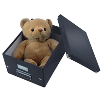 Caja De Almacenaje Grande Click & Store Wow En Forma De Cubo De Leitz Negro