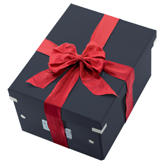 Caja De Almacenaje Grande Click & Store Wow En Forma De Cubo De Leitz Negro