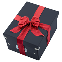 Caja De Almacenaje Grande Click & Store Wow En Forma De Cubo De Leitz Negro