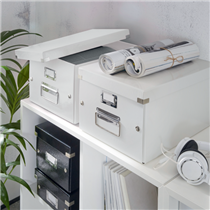Caja De Almacenaje Mediana Click & Store Wow De Leitz Blanco