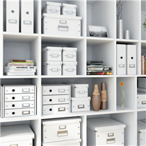 Caja De Almacenaje Mediana Click & Store Wow De Leitz Blanco
