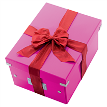 Caja De Almacenaje Mediana Click & Store Wow De Leitz Fucsia