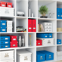 Caja De Almacenaje Mediana Click & Store Wow De Leitz Rojo