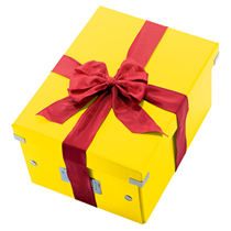 Caja De Almacenaje Pequeña Click & Store Wow De Leitz Amarillo
