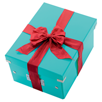 Caja De Almacenaje Pequeña Click & Store Wow De Leitz Turquesa