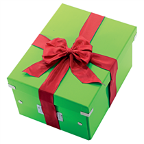 Caja De Almacenaje Pequeña Click & Store Wow De Leitz Verde