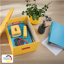 Caja De Almacenamiento Click & Store Mediana Leitz Cosy Amarillo Cálido