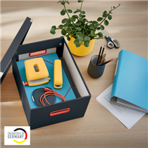 Caja De Almacenamiento Click & Store Mediana Leitz Cosy Gris Terciopelo