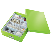 Caja Organizadora Mediana Click & Store Wow De Leitz Verde