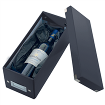 Caja Para Guardar Cds Click & Store Wow De Leitz Negro