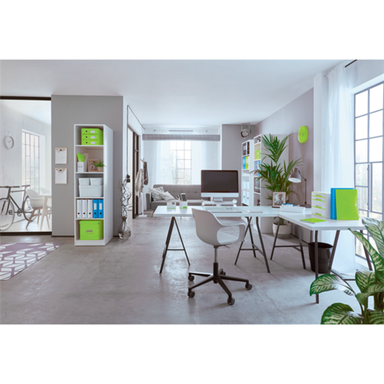 Caja Para Guardar Dvds Click & Store Wow De Leitz Verde
