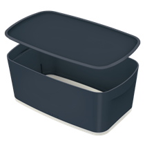 Leitz Mybox Cosy Pequeña Con Tapa, Caja De Almacenamiento Gris Terciopelo